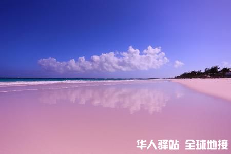 巴哈马粉红沙滩.jpg