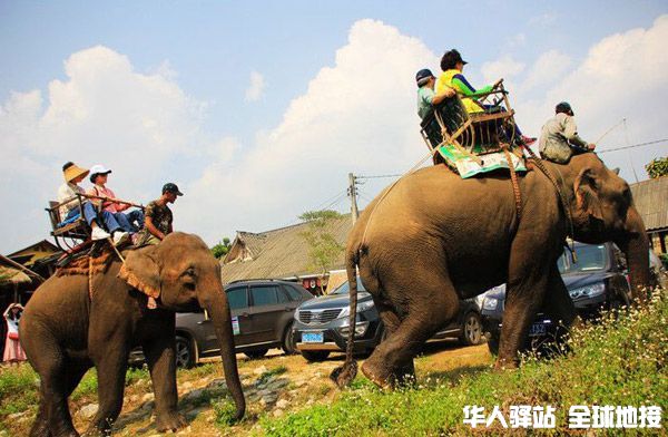 elephant-riding-600.jpg