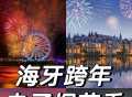 🇳🇱海牙跨年电子烟花秀时间表❗️