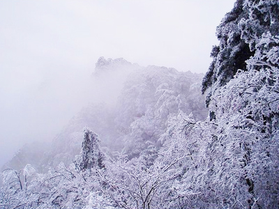 huangshan%20%285%29.jpg