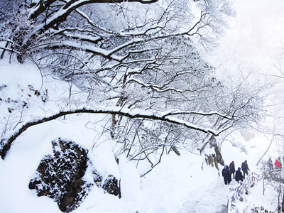 huangshan%20%286%29.jpg