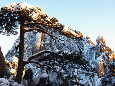 huangshan%20%2811%29.jpg