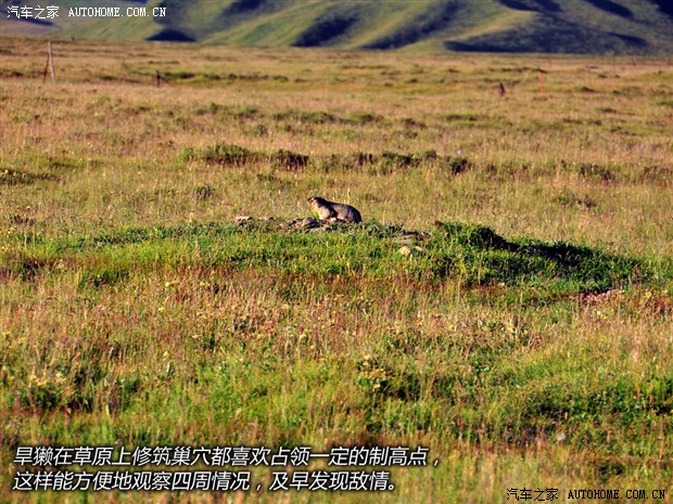 620x0_1_2013082413452699871.jpg