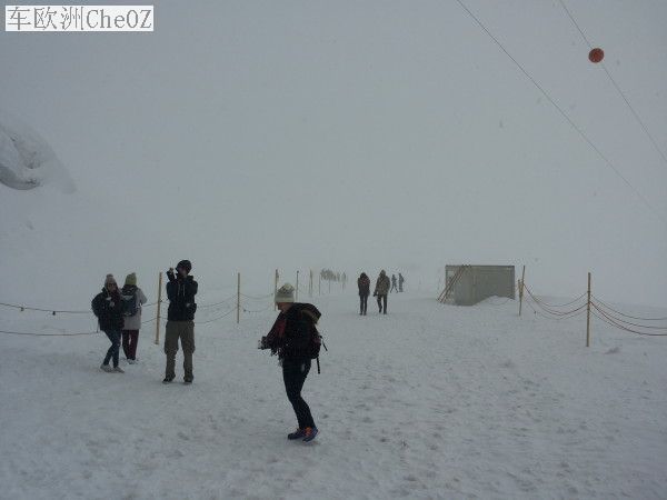 IMG_0040_0.jpg