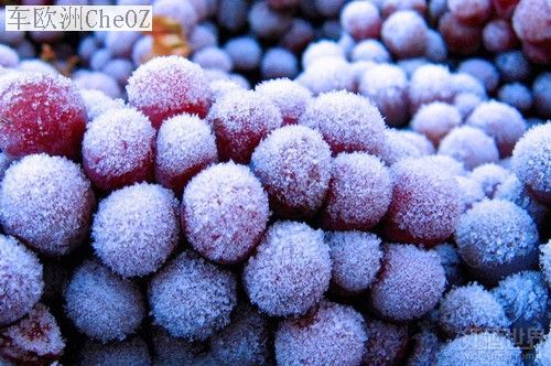 ice-wine-blog(1).jpg