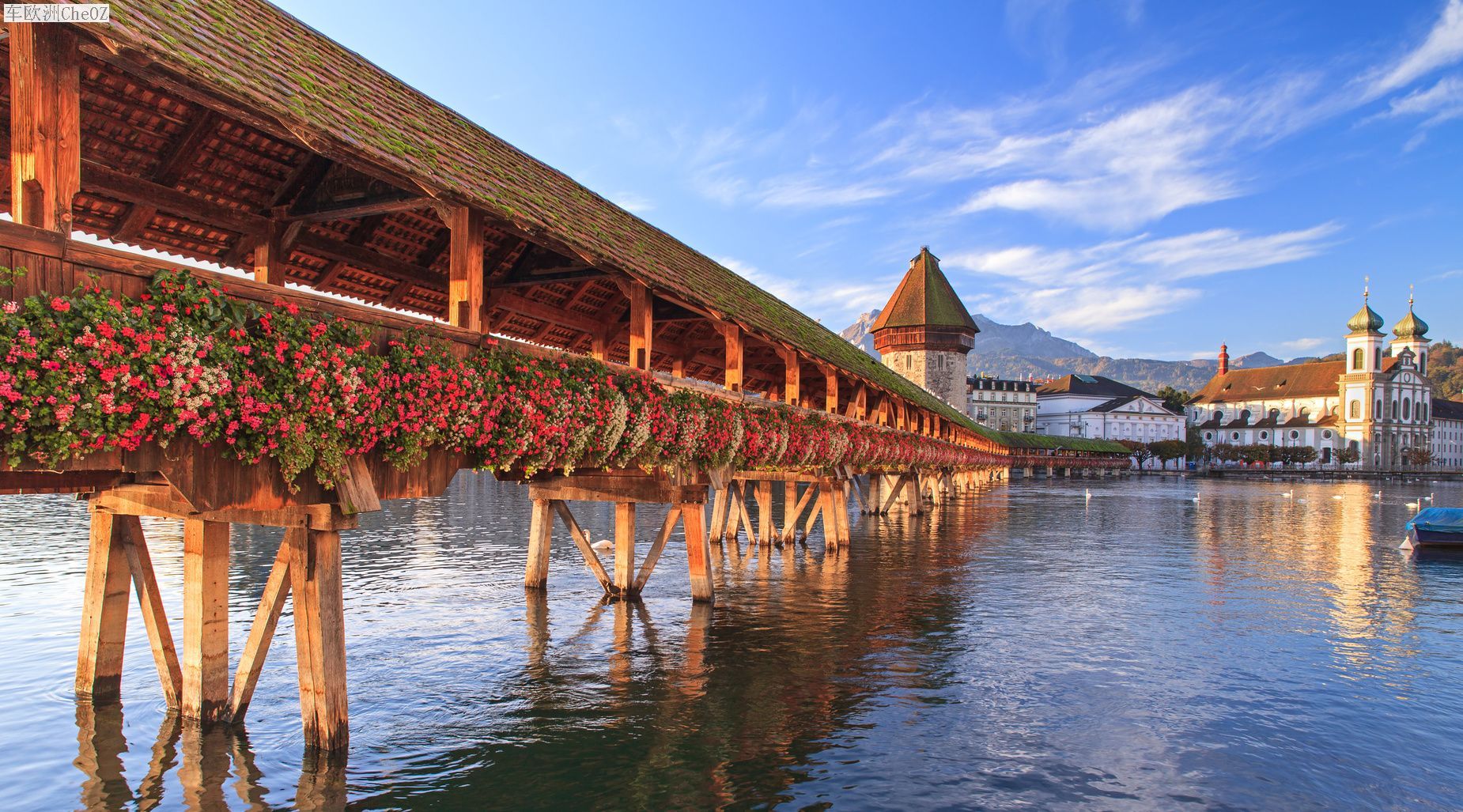 Lucerne%20Fotolia_62056166_M.jpg