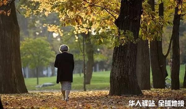 老龄化1.jpg