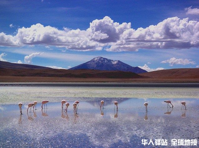 美丽的“天空之境”乌尤尼盐湖1.jpg