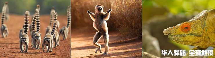 madagascar-tour-2.jpg