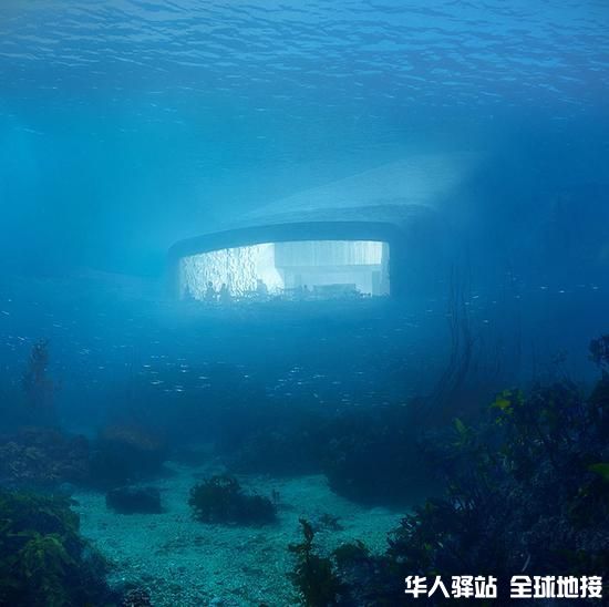水下餐厅2.jpeg