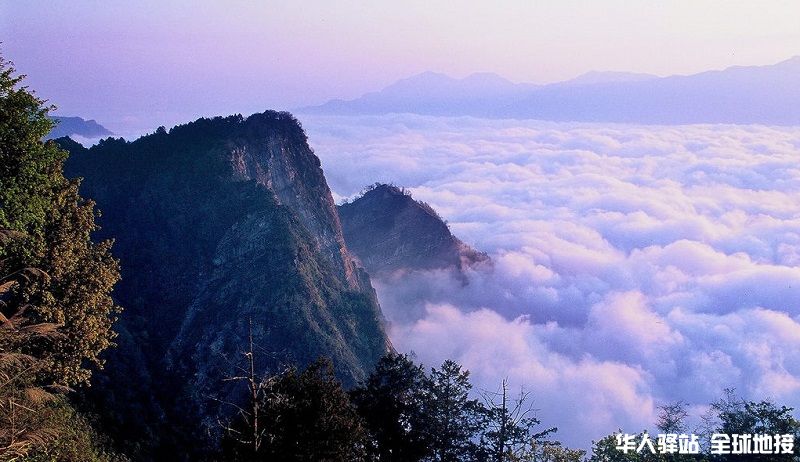 阿里山.jpg