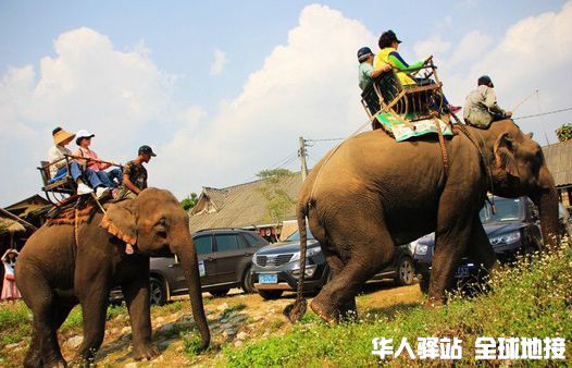 elephant-camp-526.jpg