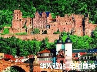 图片10.jpg