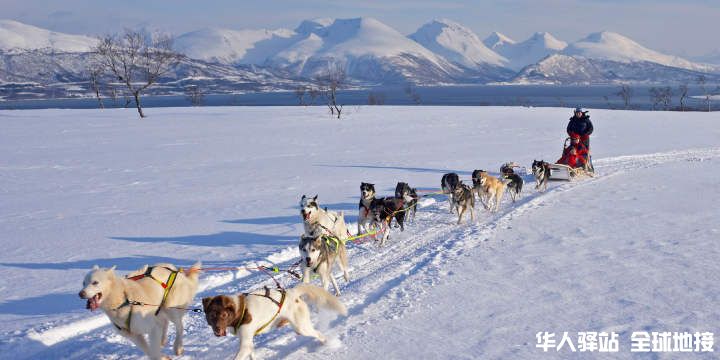 dog_sledding_tromso_norway_2_1_22ff7a45-8a2c-4024-87d9-affeadba66b4.jpg