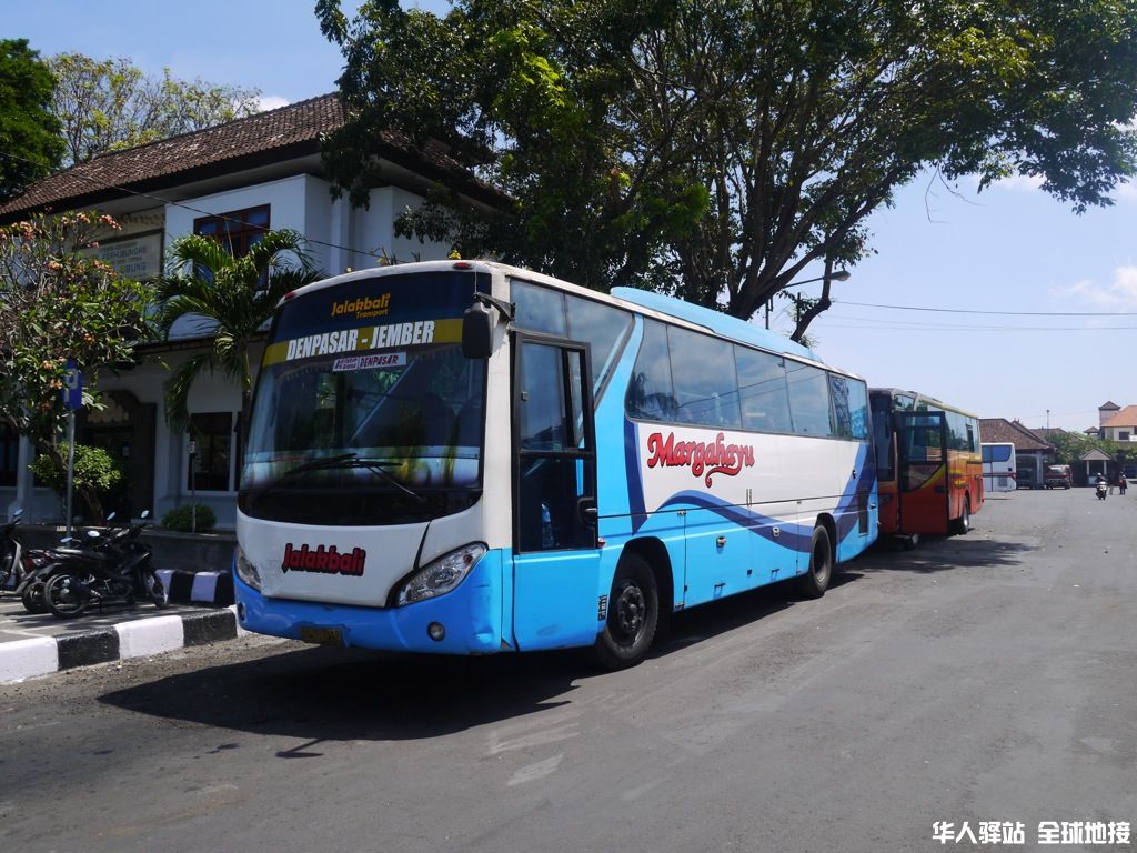 bus-to-banyuwangi.jpg