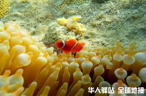 图片7.jpg