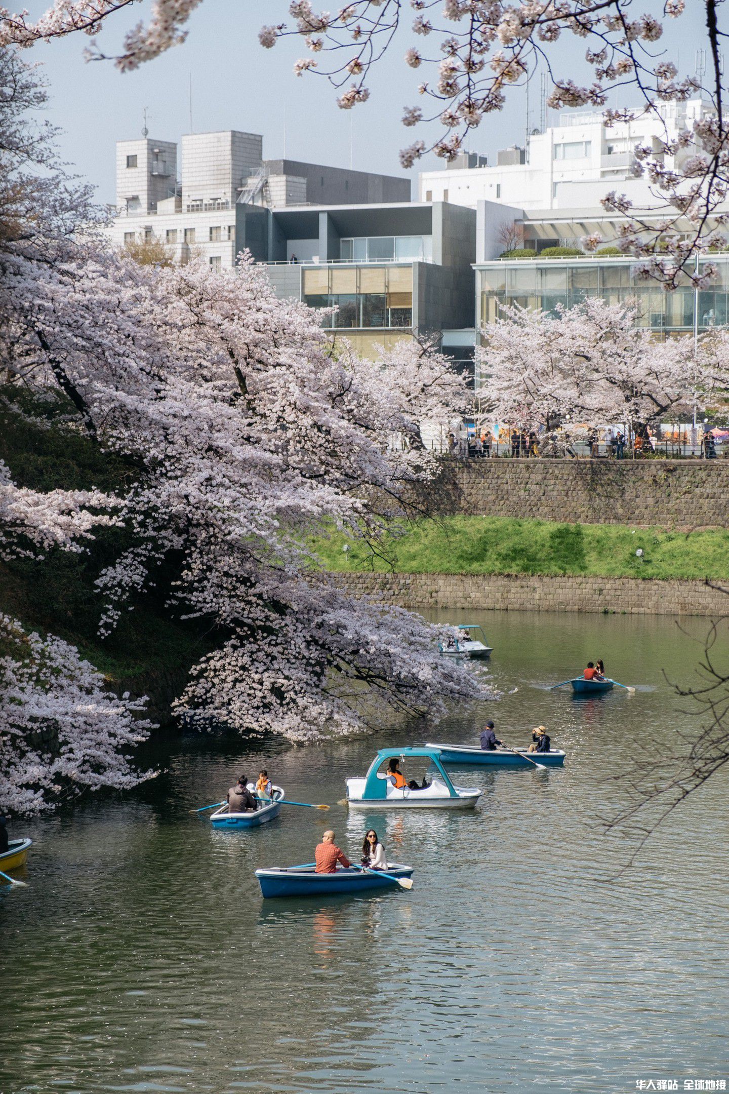 sctp0142-cherry-blossom-tokyo-japan-chidorigafuchi-quiapo00003.jpg