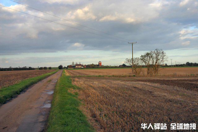 Fenland_view_-_geograph.org.uk_-_278324.jpg