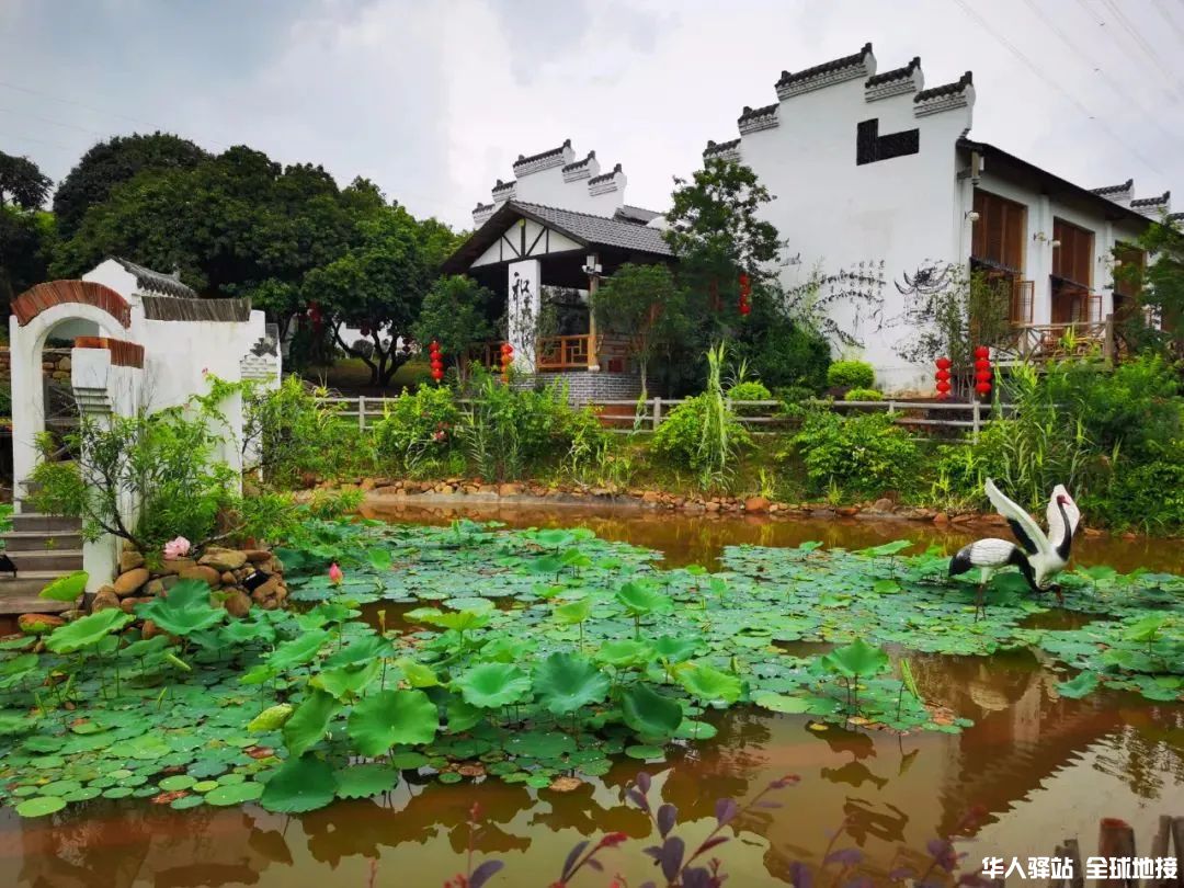 住一晚农家小院，回归田园生活，晚上看最美的星空|民宿|小院|农家_新浪新闻