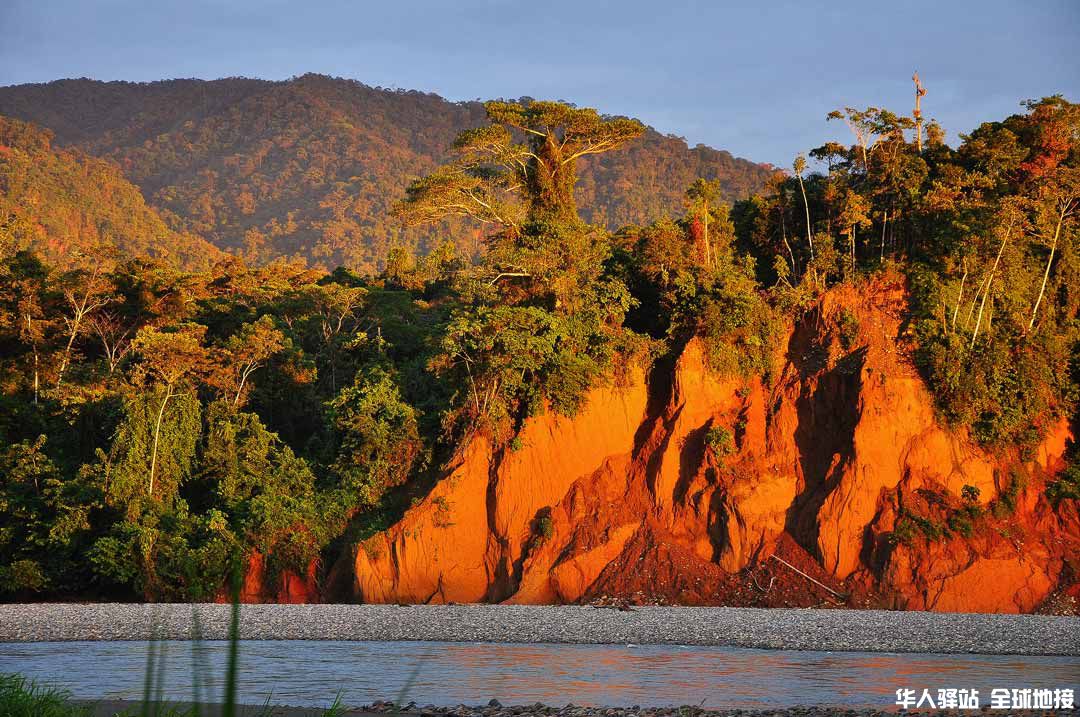 manu-national-park.jpg