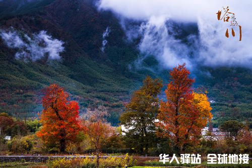微信图片_20211007123120.jpg
