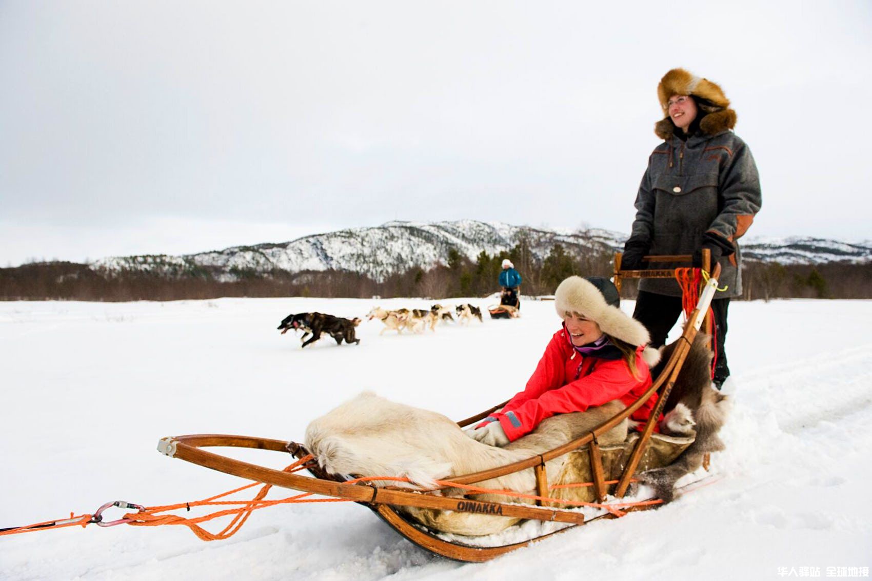 Dog sledding in Norway.jpg