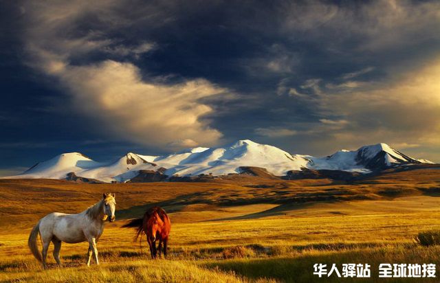 Mongolian-lansdcape-980x632.jpg