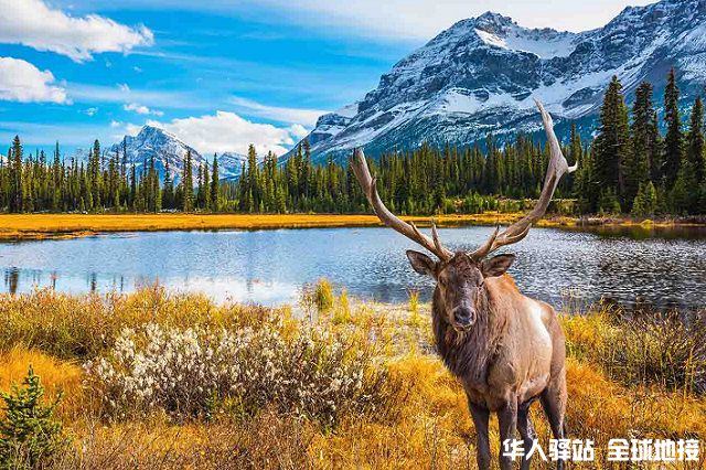 canada-travel.jpg