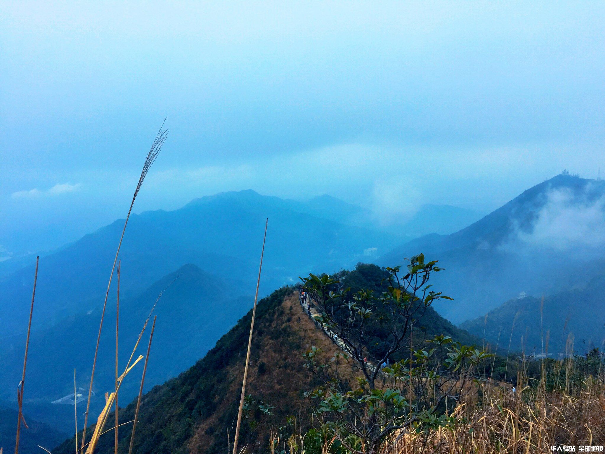 深圳罗湖区梧桐山3.jpg