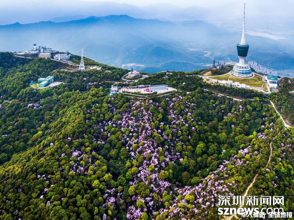 深圳罗湖区梧桐山2.jpg