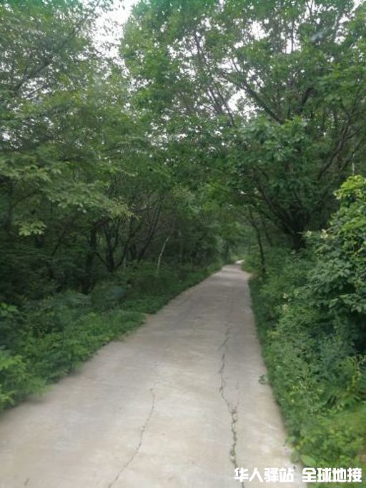 7559a0cbefd48602.jpg_r_1024x683x95_73fcca10.jpg