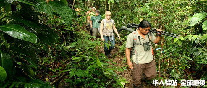 Amazon-River-trips-should-top-your-bucket-list3.jpg