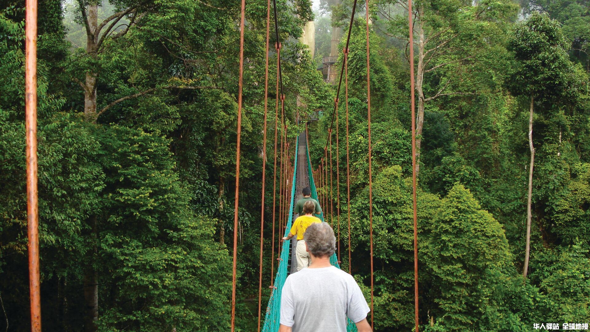 Intrepid-Travel-borneo_jungle-bridge-walking.jpg