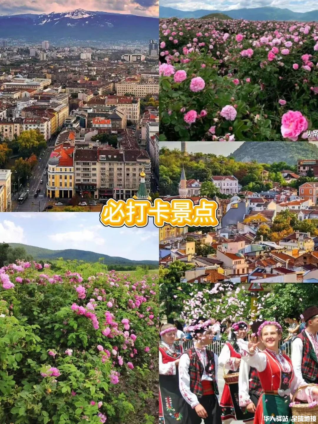 花12天❗东欧保加利亚游玫瑰节❗太绝啦‼_8.jpg