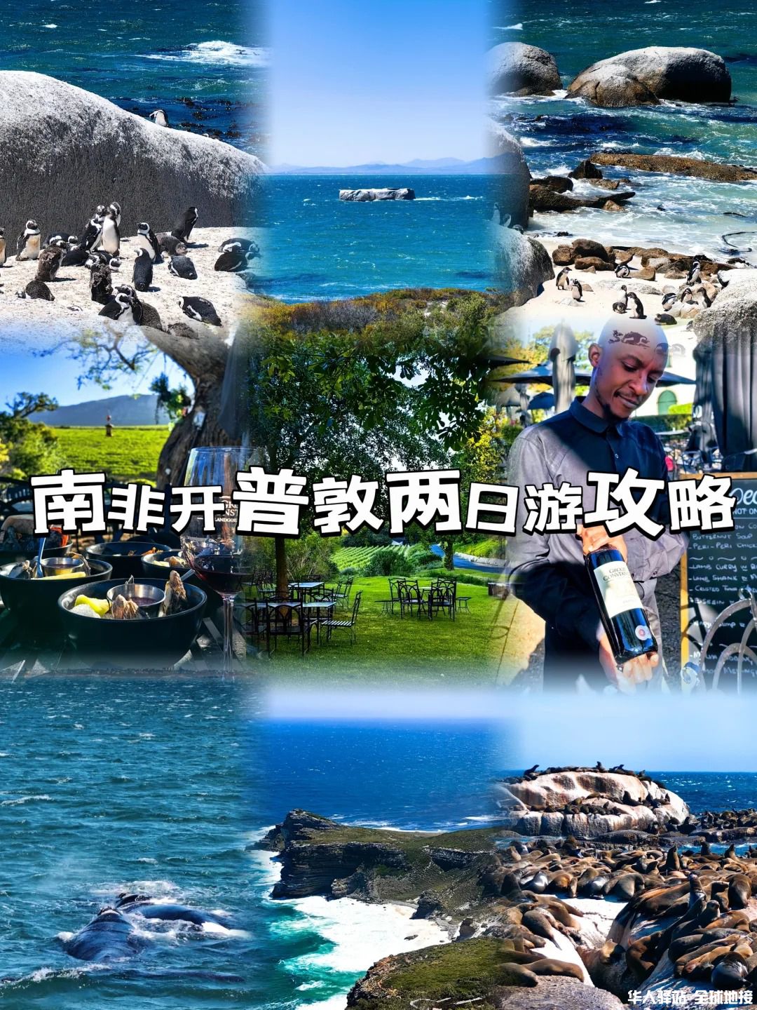 南非开普敦旅行两日游攻略（含赫曼努斯）_1_.jpg
