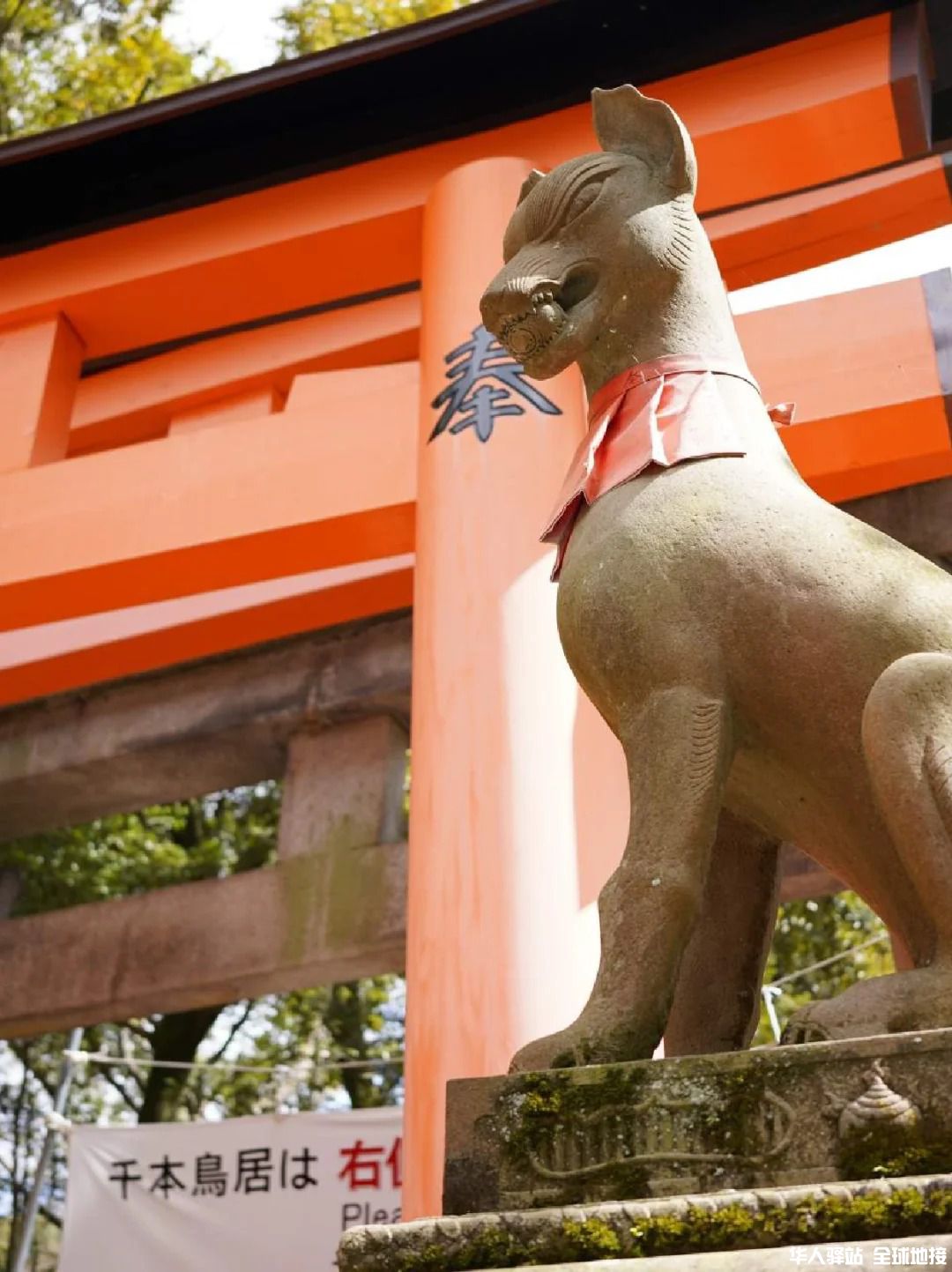 京都＆奈良一日游攻略4.jpg