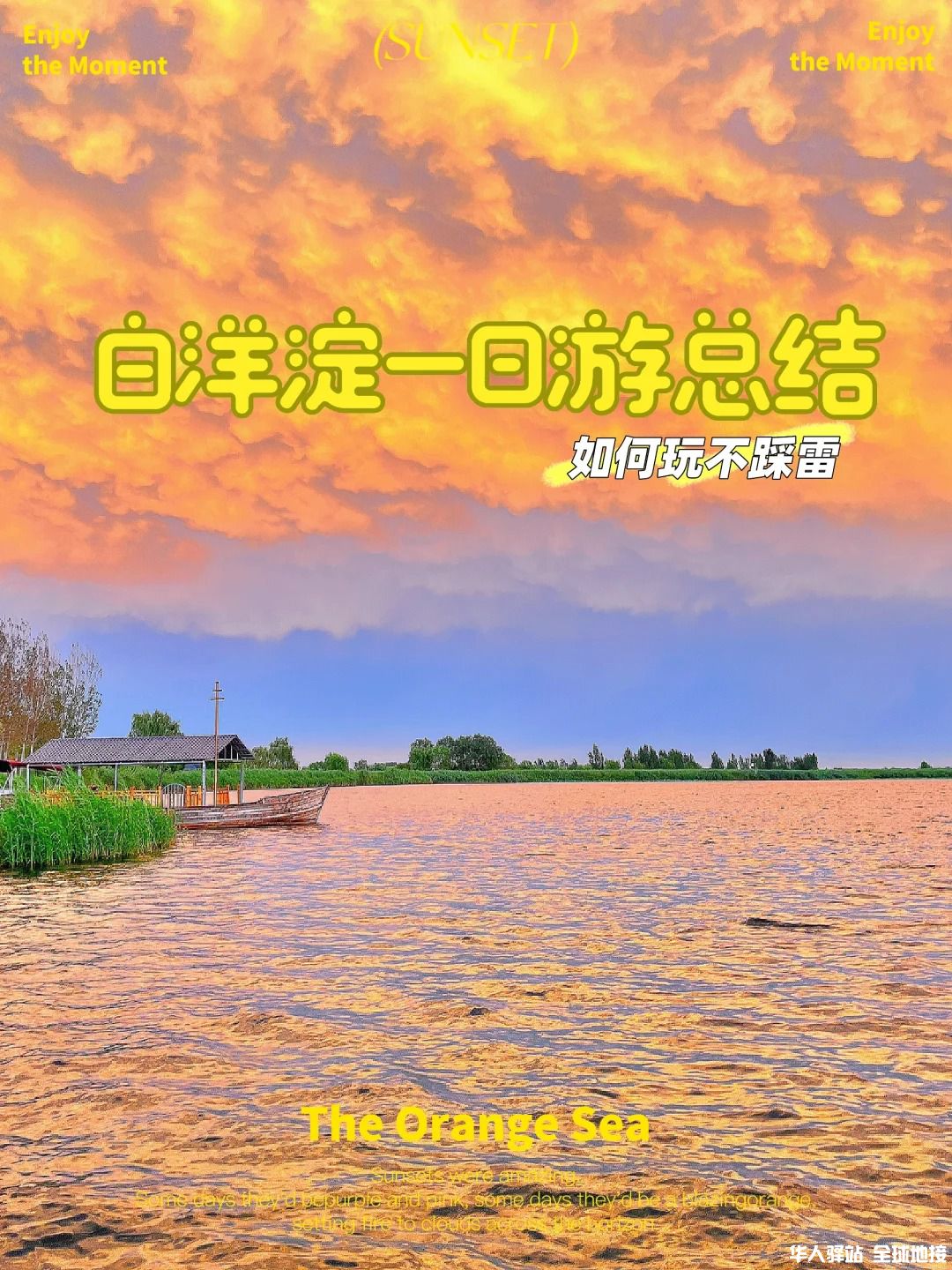 白洋淀一日游1.jpg