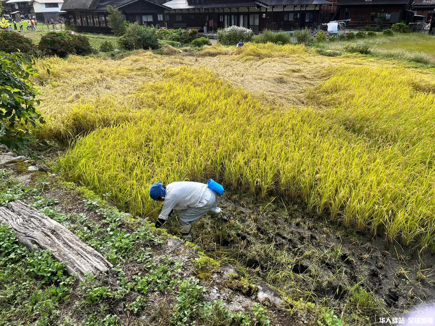 京都名古屋13.jpg