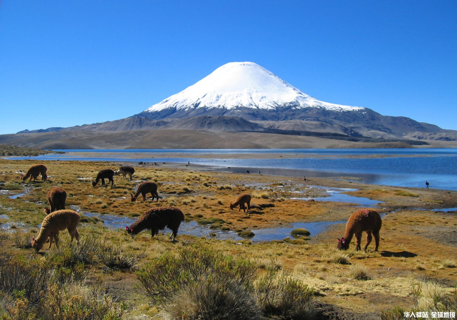Parinacota_volcano.jpg