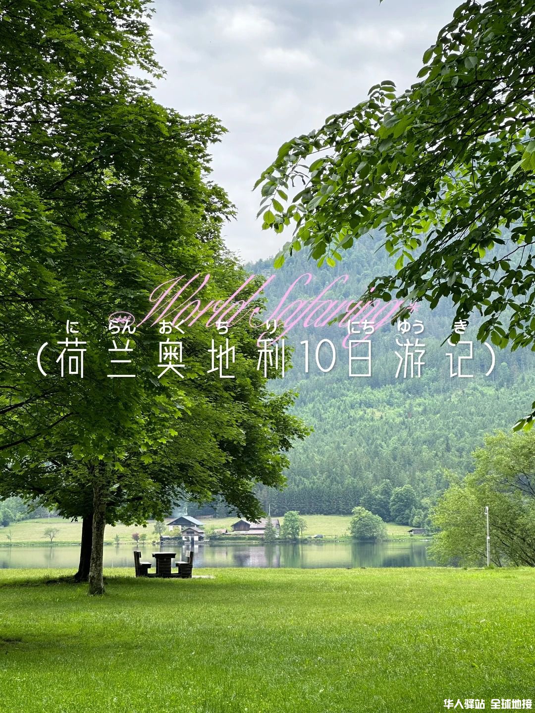 迟到的游记 Ep.1｜荷兰🇳🇱奥地利🇦🇹游记_1.jpg