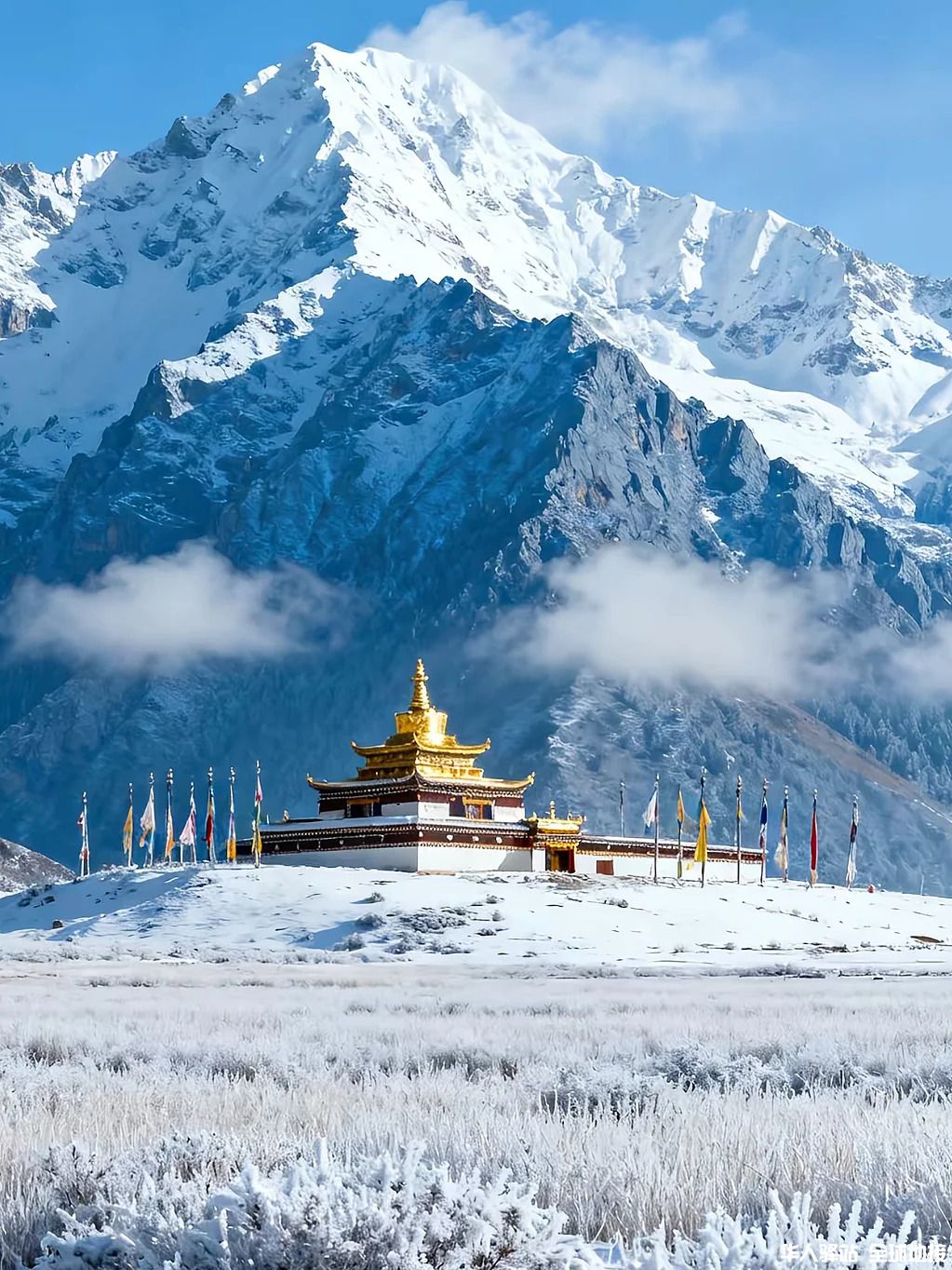 3刷甘南已回！冬天来甘南才是真会玩_4_.jpg