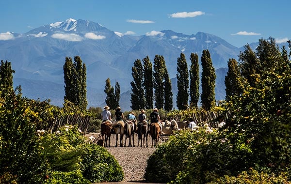 600-TM-Argentina-Cultural-Natural-Wonders-Mendoza-Horses-2.jpg