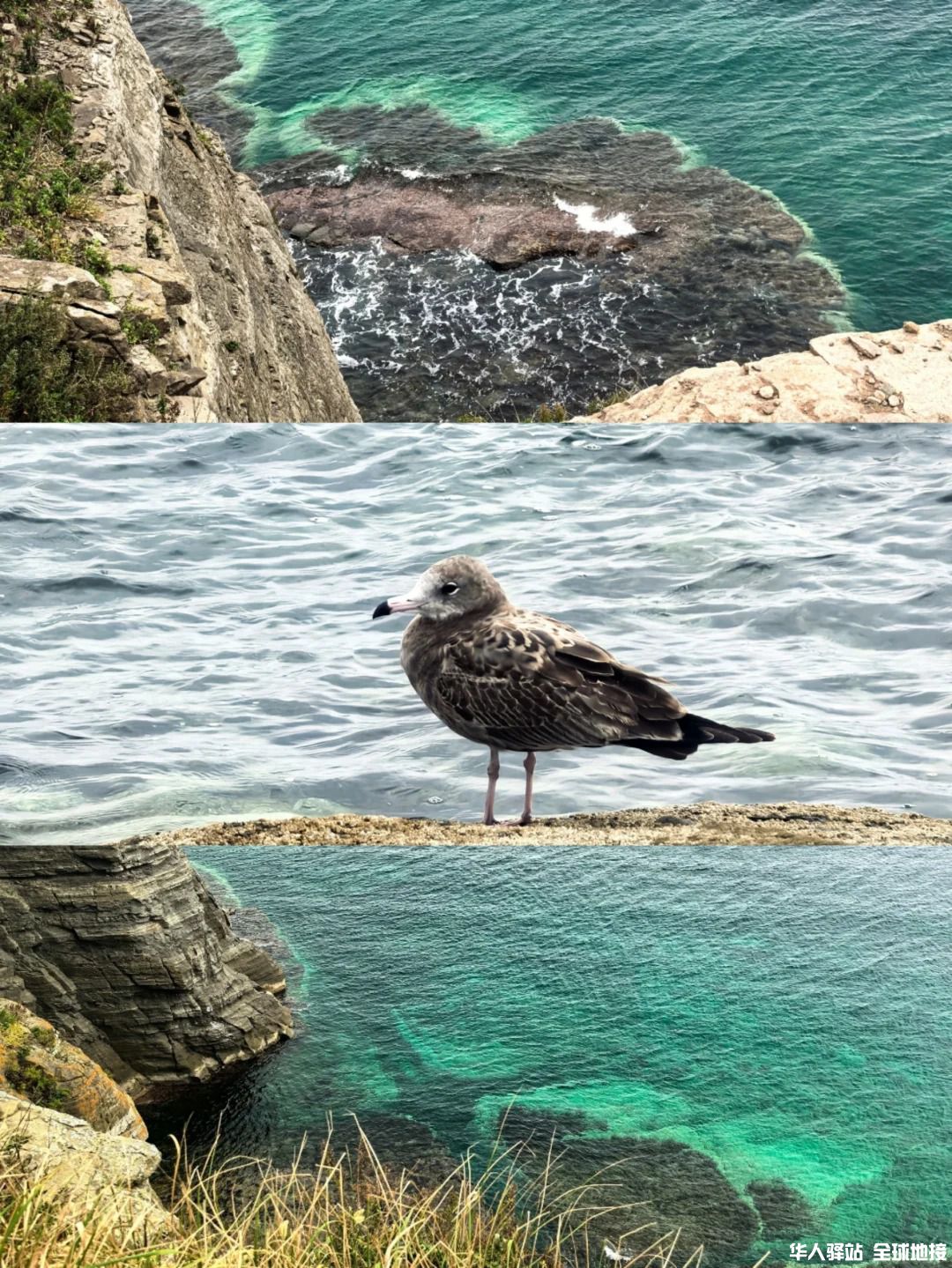 海参崴 __ 惊心动魄的远东之旅3.jpg