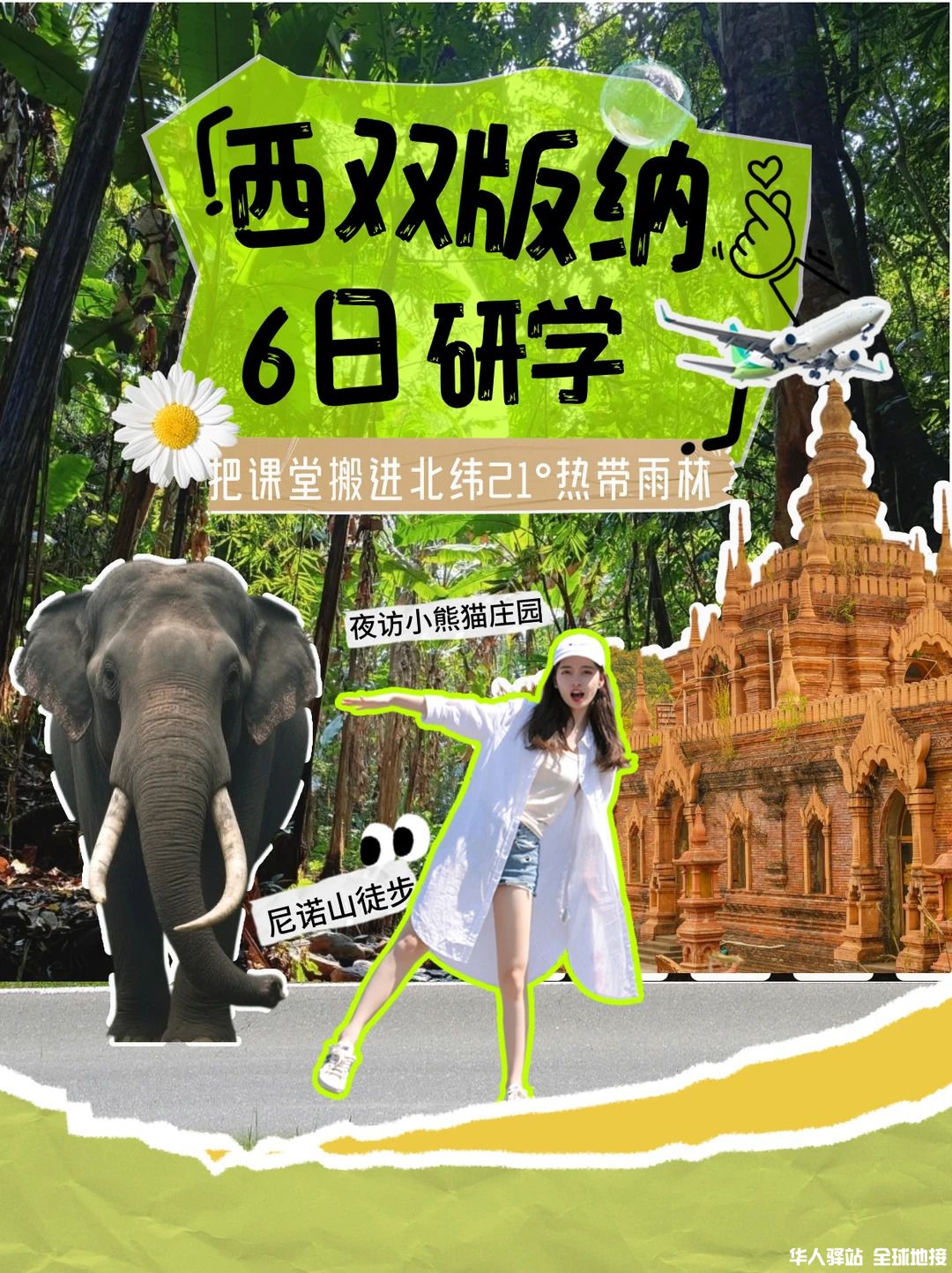 西双版纳研学｜把课堂搬进北纬21°热带雨林_7.jpg