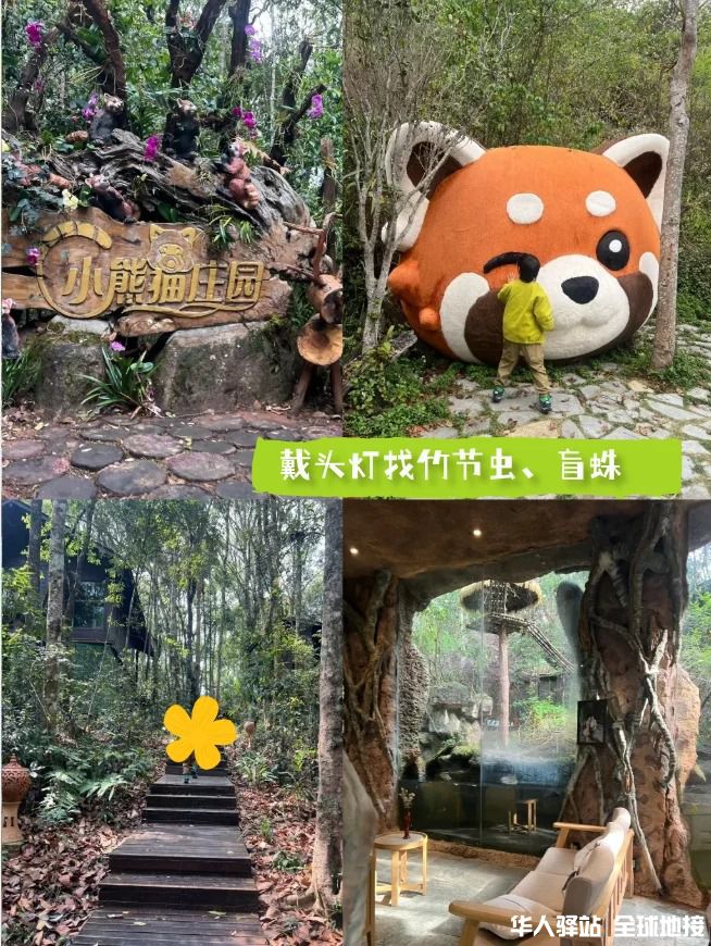 西双版纳研学｜把课堂搬进北纬21°热带雨林_3.jpg