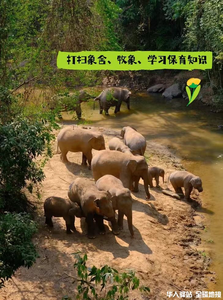 西双版纳研学｜把课堂搬进北纬21°热带雨林_5.jpg