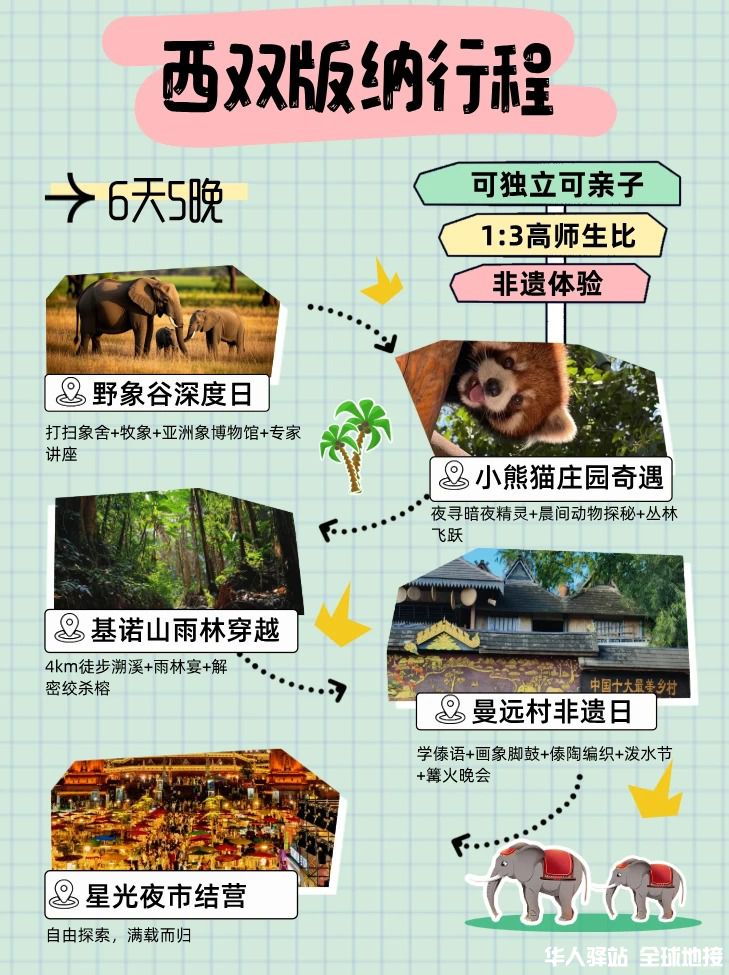 西双版纳研学｜把课堂搬进北纬21°热带雨林_6.jpg