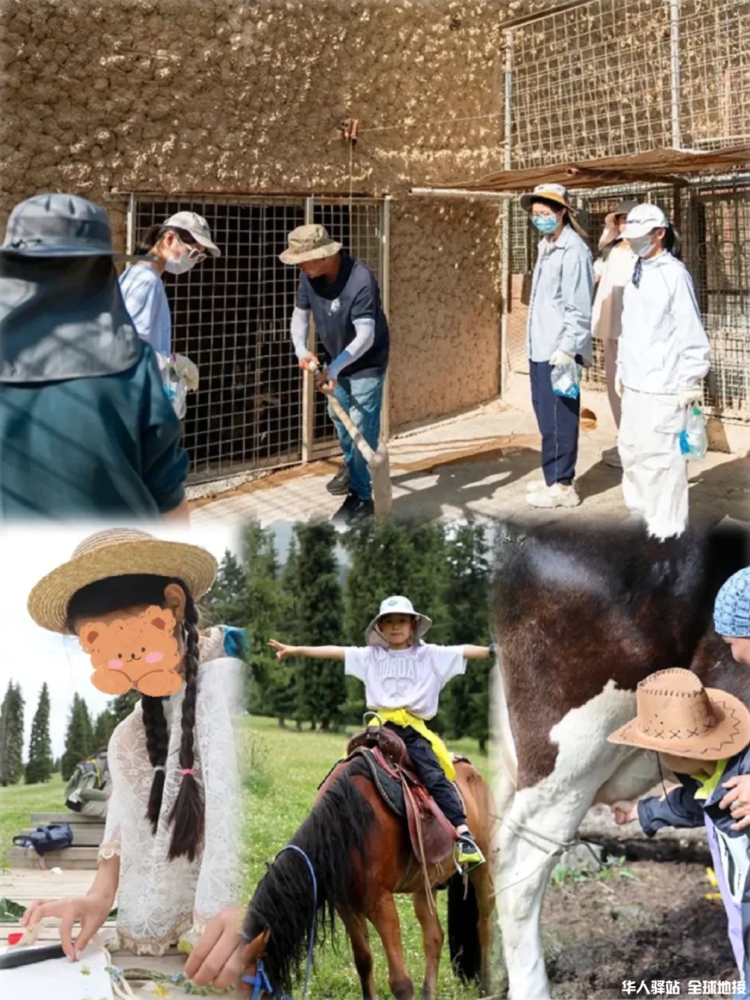 新疆研学_将夏天留给新疆2.jpg