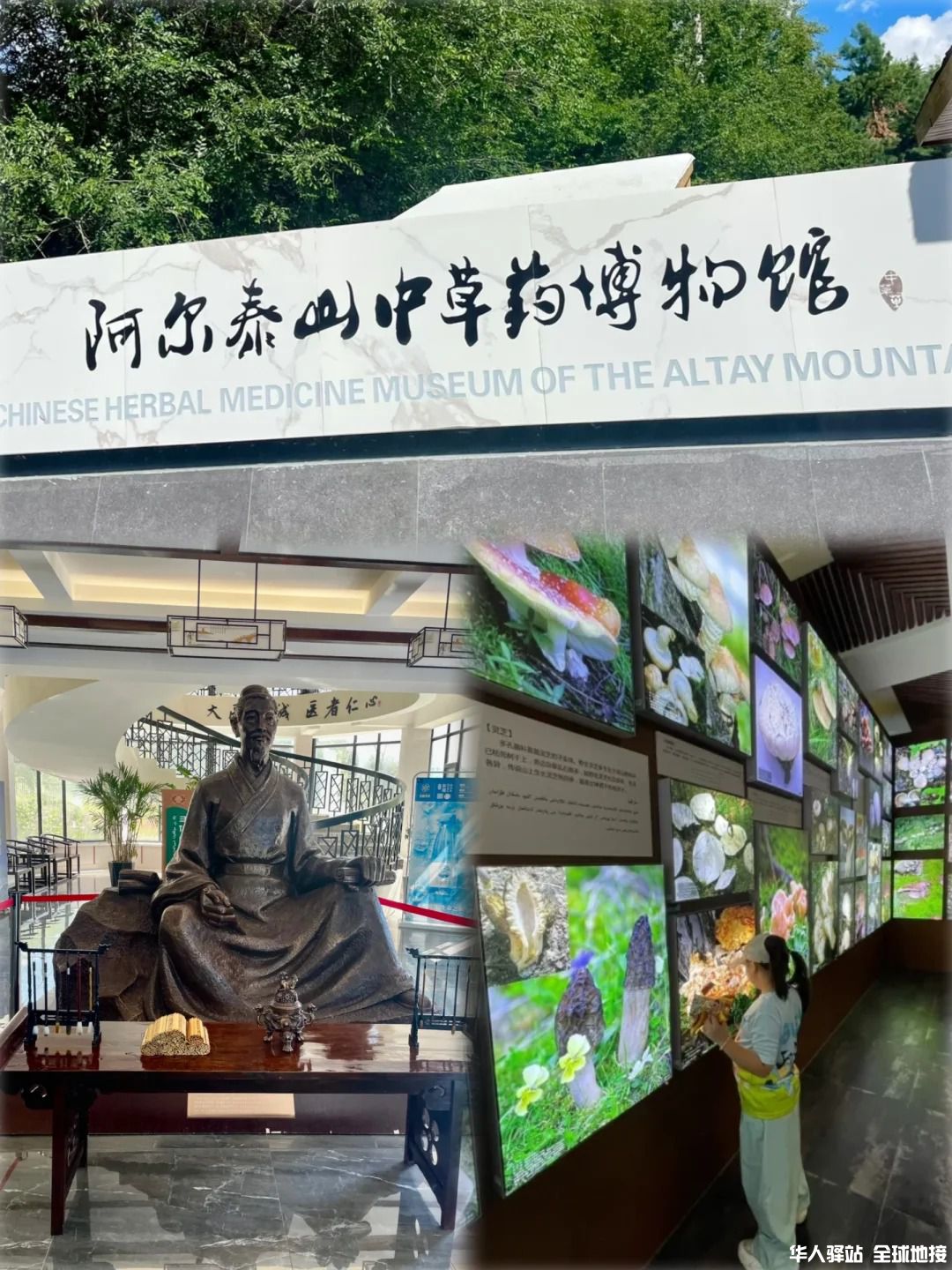 新疆研学_将夏天留给新疆3.jpg