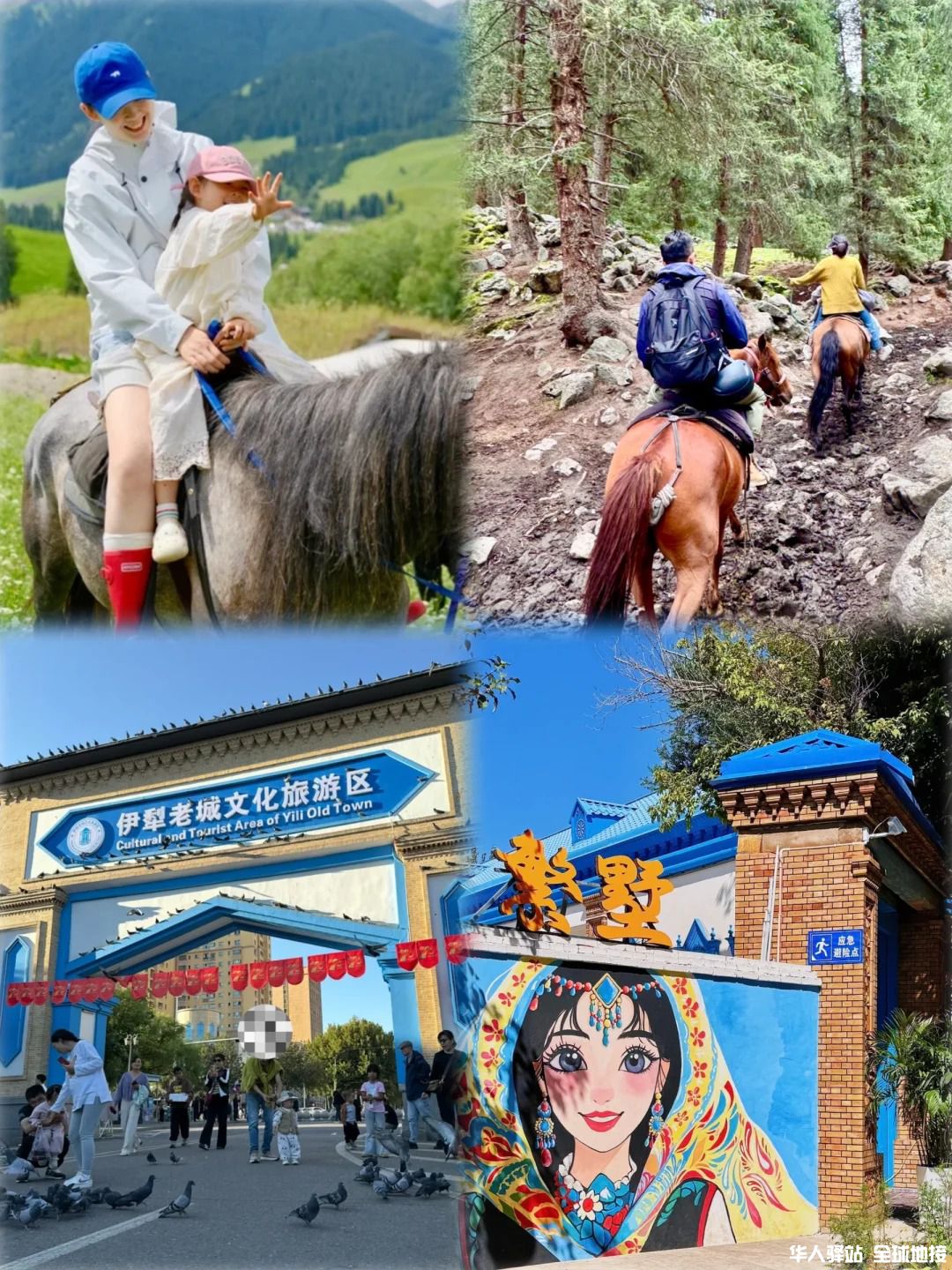 新疆研学_将夏天留给新疆7.jpg